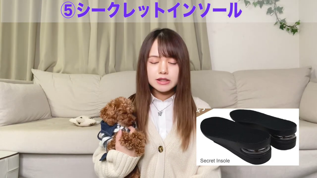 - シークレットインソールの画像と「Secret Insole」の文字が映し出されている画像。具体的なアイテムを示すことで、読者は記事を読んだ後すぐに購入を検討できます。