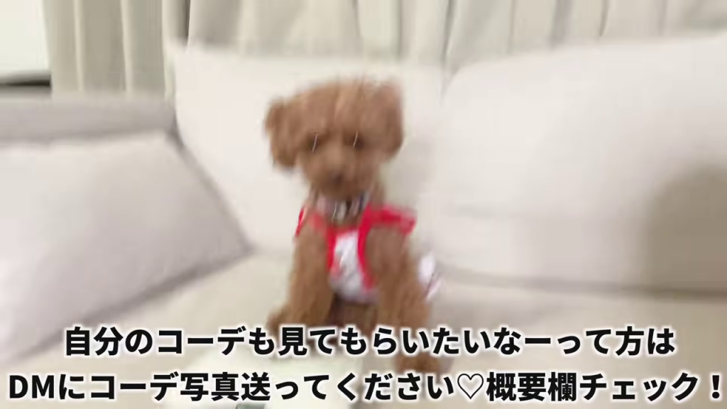 女性と犬