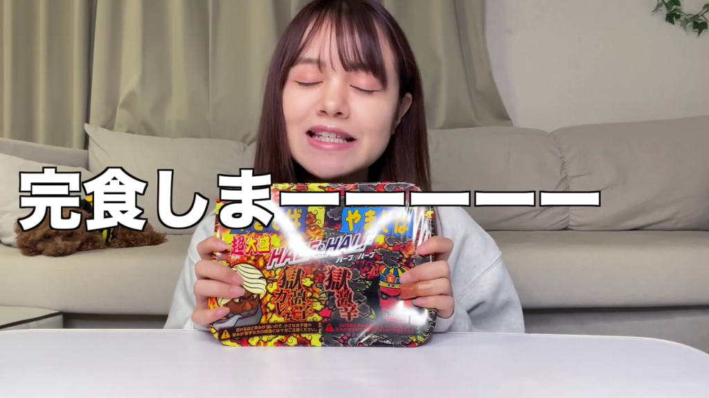- 商品提示：パッケージ表面