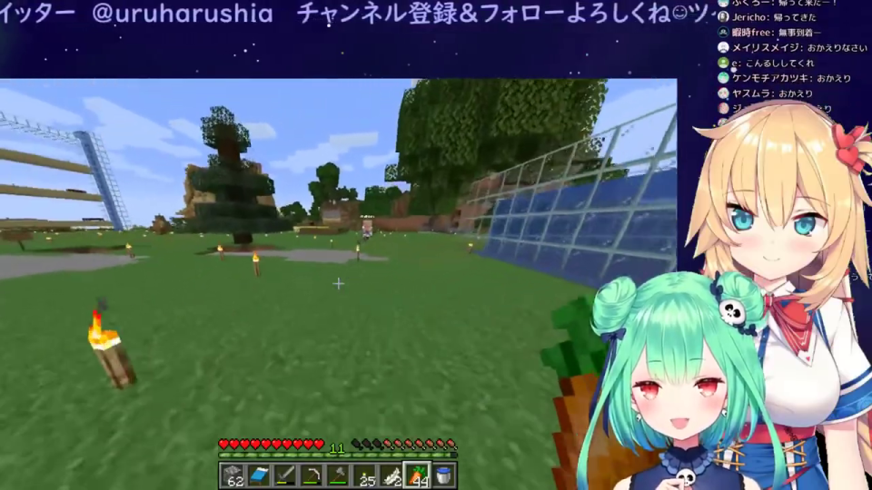 家