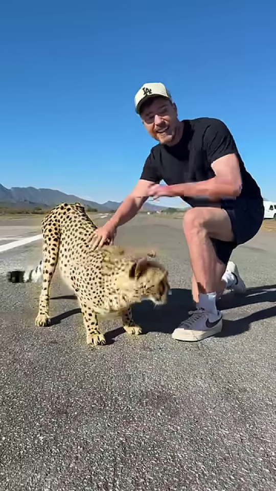 MrBeastが笑顔でチーターと触れ合う