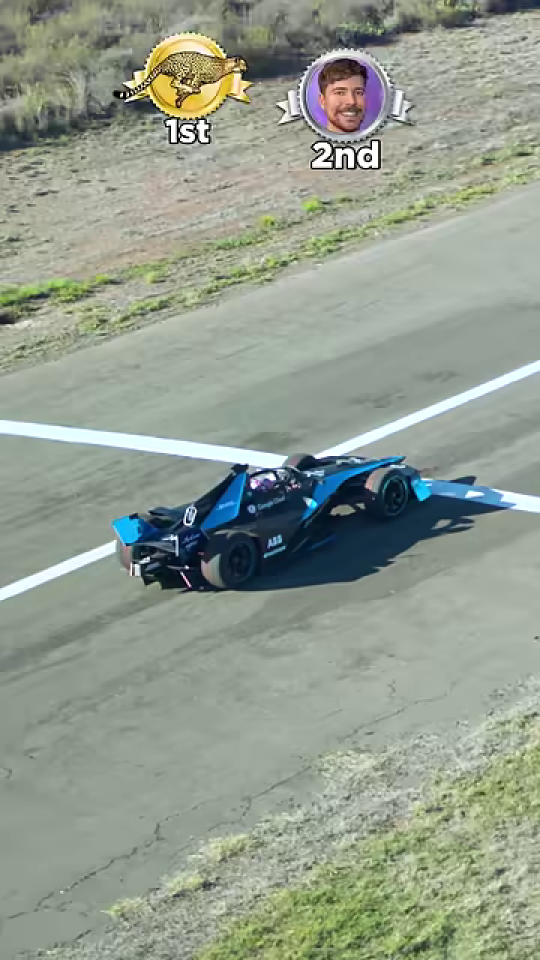 新たな挑戦者としてのレーシングカーが登場
