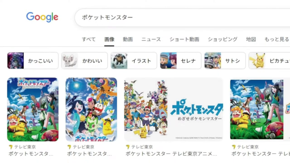 - 視聴者アンケート結果の表示