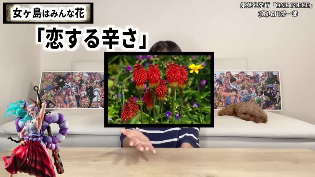 花の画像