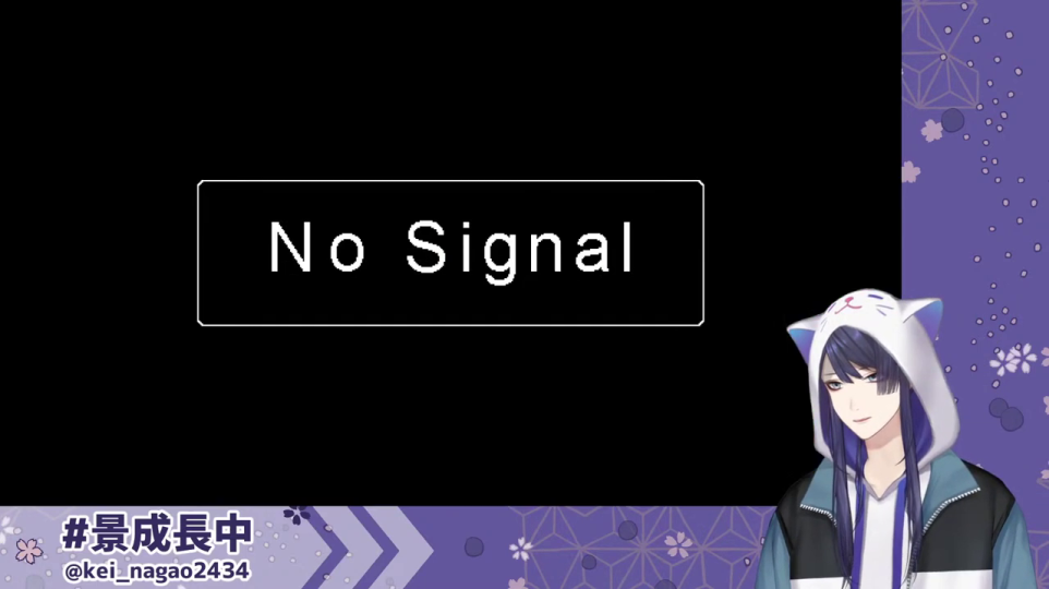 No Signal表示