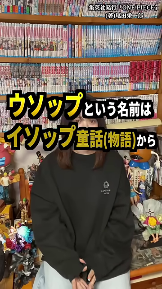 ウソップの名前がイソップ童話由来と説明する画面