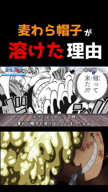 ルフィのギア5と「麦わら帽子が溶け出していましたよね」の解説