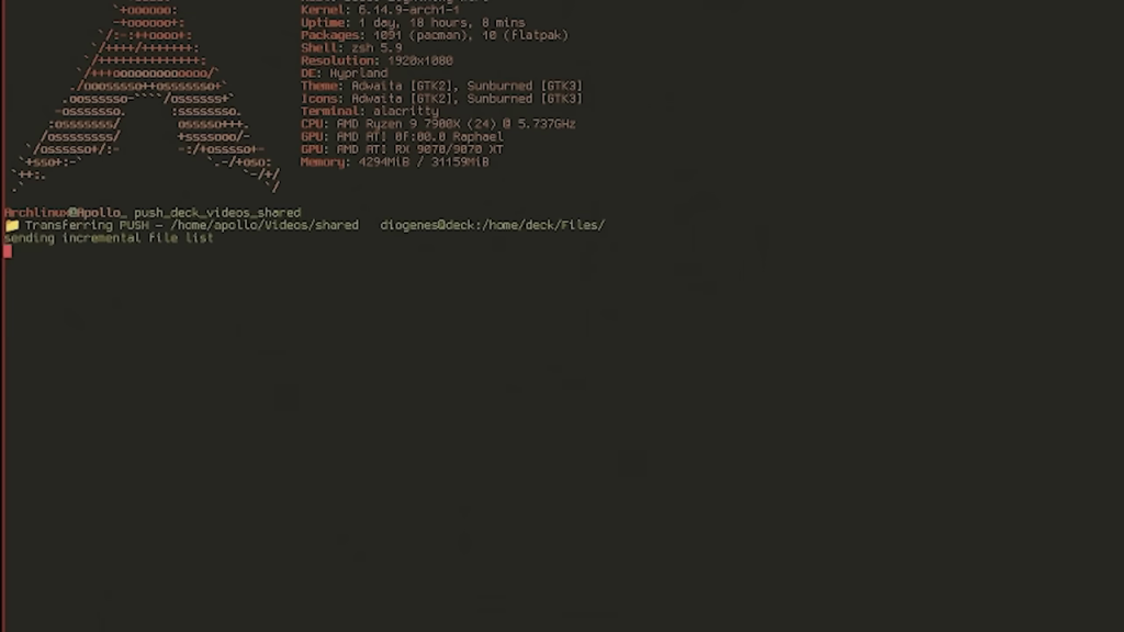 Linuxターミナル画面でのシステム情報とファイル転送表示