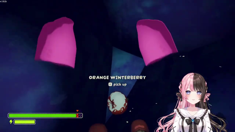 アイテム「ORANGE WINTERBERRY」の拾得指示