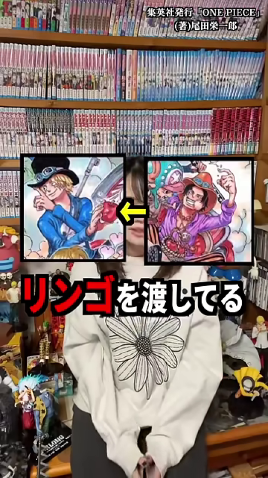 サボがエースにリンゴを渡すイラストとテキスト